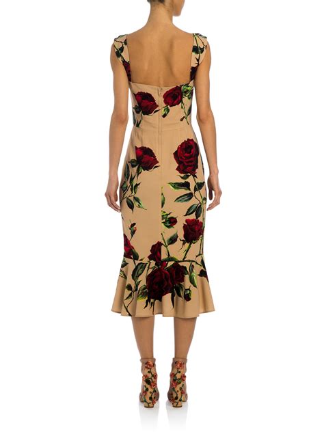 dolce gabbana rose dress|dolce gabbana charmeuse midi dress.